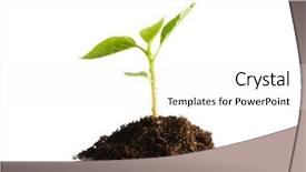  Presentation with soil - Theme featuring soil tree - plant isolated on white background background and a white colored foreground