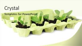  Presentation with plants growing - Beautiful slide set featuring soil waste - cardboard eggs box used backdrop and a soft green colored foreground