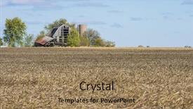  Presentation with corn field circles - PPT theme enhanced with soil waste - harvested fall corn field stalks background and a coral colored foreground