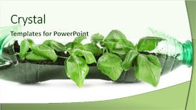  Presentation with plastic waste recycling - PPT theme consisting of soil waste - young green basil growing background and a soft green colored foreground
