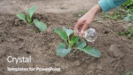  Presentation with agriculture fertilizer - Slides with insecticide equipment agriculture - hand with a test tube background and a gray colored foreground