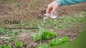  Presentation with agriculture fertilizer - PPT theme featuring insecticide equipment agriculture - hand with a test tube background and a seafoam green colored foreground