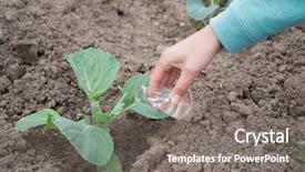  Presentation with agriculture fertilizer - Colorful theme enhanced with insecticide equipment agriculture - hand with a test tube backdrop and a gray colored foreground