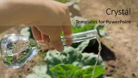  Presentation with fertilizer - PPT layouts featuring insecticide equipment agriculture - hand with a test tube background and a coral colored foreground