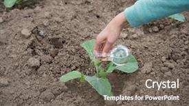  Presentation with agriculture fertilizer - Slides enhanced with insecticide equipment agriculture - hand with a test tube background and a gray colored foreground