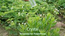  Presentation with fertilizer - Colorful slide set enhanced with insecticide equipment agriculture - hand with a test tube backdrop and a tawny brown colored foreground