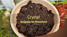  Presentation with fertilizer flowers - Presentation consisting of soil-with-manure-and-fertilizer background and a tawny brown colored foreground