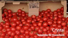  Presentation with market - Amazing presentation design having solanaceae - farmers market series fresh picked backdrop and a  colored foreground