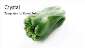  Presentation with green watercolorvbackground - Audience pleasing PPT layouts consisting of hand holding smartphone white screen with travel weekend last summer and sea beach coconut background backdrop and a lemonade colored foreground