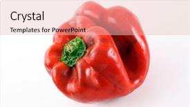  Presentation with pepper - Audience pleasing PPT layouts consisting of solanaceae - photo of red bell pepper backdrop and a  colored foreground