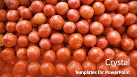  Presentation with tomato ketchup single red - Presentation having solanaceae - pile of red tomatoes background and a  colored foreground