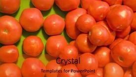  Presentation with tomato ketchup single red - PPT theme featuring solanaceae - pile of red tomatoes background and a  colored foreground