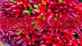  Presentation with red chilly - Beautiful theme featuring solanaceae - red hot chilly pepers closeup backdrop and a  colored foreground