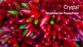  Presentation with red chilly - Colorful slide deck enhanced with solanaceae - red hot chilly pepers closeup backdrop and a  colored foreground