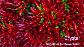  Presentation with red chilly - Cool new theme with solanaceae - red hot chilly pepers closeup backdrop and a  colored foreground