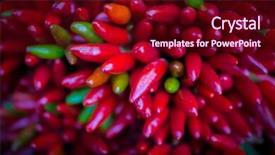  Presentation with red chilly - Amazing PPT theme having solanaceae - red hot chilly pepers closeup backdrop and a  colored foreground