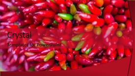  Presentation with red chilly - Colorful slide deck enhanced with solanaceae - red hot chilly pepers closeup backdrop and a  colored foreground