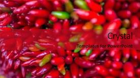  Presentation with red chilly - Beautiful slide set featuring solanaceae - red hot chilly pepers closeup backdrop and a  colored foreground