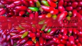  Presentation with red chilly - Slide set consisting of solanaceae - red hot chilly pepers closeup background and a  colored foreground