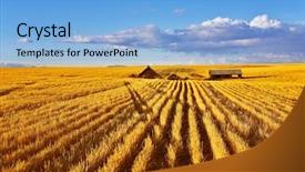  Presentation with solar farm - Audience pleasing PPT theme consisting of solar autumn midday on fields backdrop and a light blue colored foreground