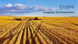  Presentation with montana - Beautiful PPT theme featuring passenger in the shanghai pudong airport interior of the airport backdrop and a tawny brown colored foreground