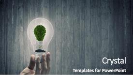  Presentation with solar tree - Slides enhanced with solar energy - close up of hand holding background and a dark gray colored foreground