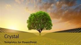  Presentation with solar tree - Audience pleasing PPT theme consisting of solar energy panels with tree backdrop and a gold colored foreground