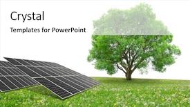  Presentation with solar tree - Amazing slides having solar energy panels with tree backdrop and a  colored foreground