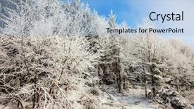  Presentation with forest morning - Slide deck with solar new year's morning forest snowbound background and a light blue colored foreground