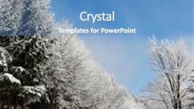  Presentation with woods - Slides consisting of solar new year's morning in the woods rolled snowy road background and a teal colored foreground