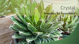  Presentation with solar panel - Slide deck with solar-panel-plant-with-ivy background and a yellow colored foreground