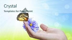  Presentation with hand holding flowers - Audience pleasing PPT layouts consisting of hand holding of flowers backdrop and a sky blue colored foreground