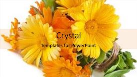  Presentation with calendula - Beautiful PPT layouts featuring family christmas x-mas winter happiness and people concept - smiling family with baby boy sitting under xmas tree backdrop and a light gray colored foreground.