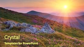  Presentation with solar - Slide set consisting of vegetable fritters on a white plate decorated with flowers background and a light gray colored foreground