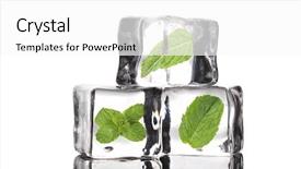  Presentation with octopus on isolated white - Beautiful presentation theme featuring solid shapes - ice cubes with mint isolated backdrop and a white colored foreground