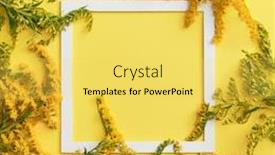  Presentation with white flower frame - Slide deck featuring solidago-flower-on-pastel-background background and a yellow colored foreground