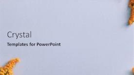  Presentation with border flower - Slide deck having solidago-flower-on-pastel-background background and a lemonade colored foreground