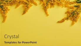  Presentation with flower border - Slide deck enhanced with solidago-flower-on-pastel-background background and a yellow colored foreground