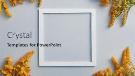  Presentation with white flower frame - PPT theme featuring solidago-flower-on-pastel-background background and a light gray colored foreground