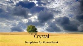  Presentation with denmark - PPT theme having solitary tree in wheat field with cloudy sky in denmark background and a yellow colored foreground