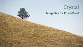  Presentation with hill - Theme enhanced with solitary-tree-on-a-grassy background and a sky blue colored foreground