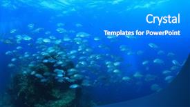  Presentation with fish - PPT layouts having solomon - bigeye trevally fish jacks background and a  colored foreground