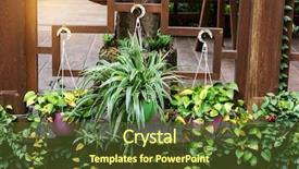  Presentation with bacteria staphylococcus aureus mrsa - Slide deck consisting of solomon - chlorophytum comosum and scindapsus aureus background and a tawny brown colored foreground