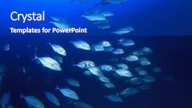  Presentation with blue water - Audience pleasing PPT layouts consisting of solomon - fish school in blue water backdrop and a cobalt blue colored foreground