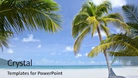  Presentation with palm beach - Presentation enhanced with solomon - palm in the beach far background and a light blue colored foreground