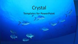  Presentation with fish ocean - Presentation design featuring solomon - pompano fish in ocean background and a  colored foreground