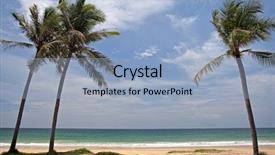  Presentation with solomon - Colorful slide deck enhanced with solomon - three palms near the sea backdrop and a light blue colored foreground