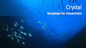  Presentation with fish ocean - Cool new slide deck with solomon - underwater ocean with school trevally backdrop and a  colored foreground