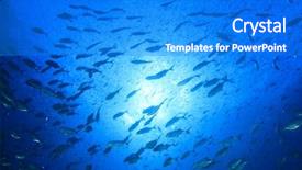  Presentation with fish ocean - PPT layouts enhanced with solomon - underwater ocean with school trevally background and a  colored foreground