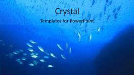  Presentation with hunting - Cool new PPT layouts with solomon - underwater ocean with school trevally backdrop and a  colored foreground